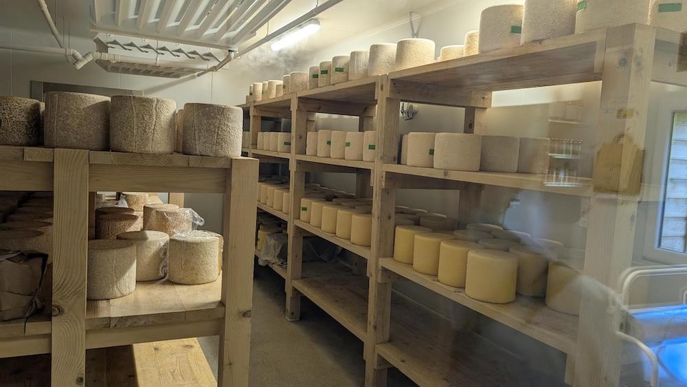 Cantal 10