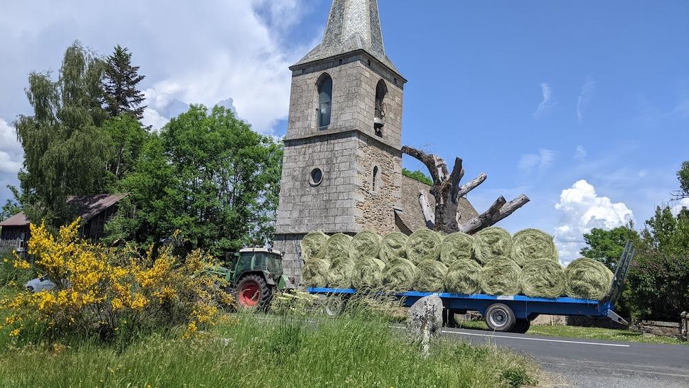 Cantal 9