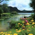 Lac de bart