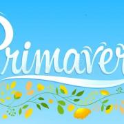 Primavera texte espagnol de ressort conception de lettrage de vecteur 92718096