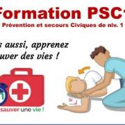 Psc1 1